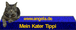 Mein Kater Tippi